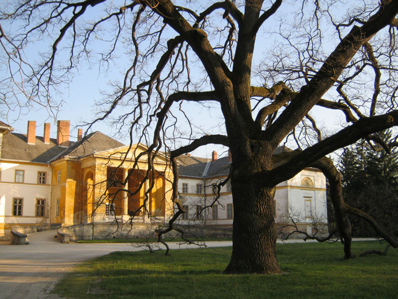 mezoseg1