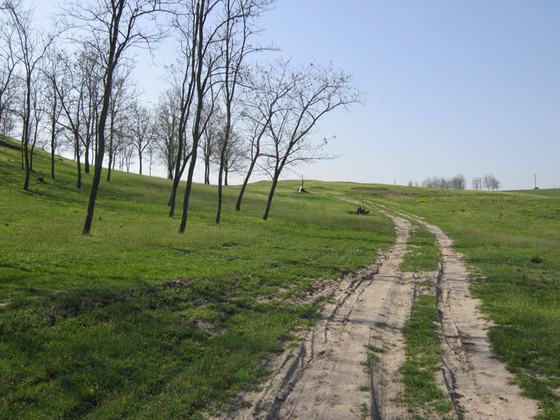 mezoseg3